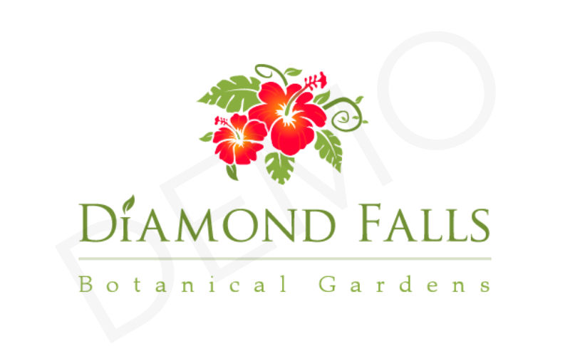 Diamond Fall Branding demo